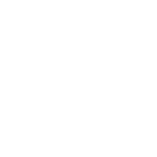 Deloitte Consulting